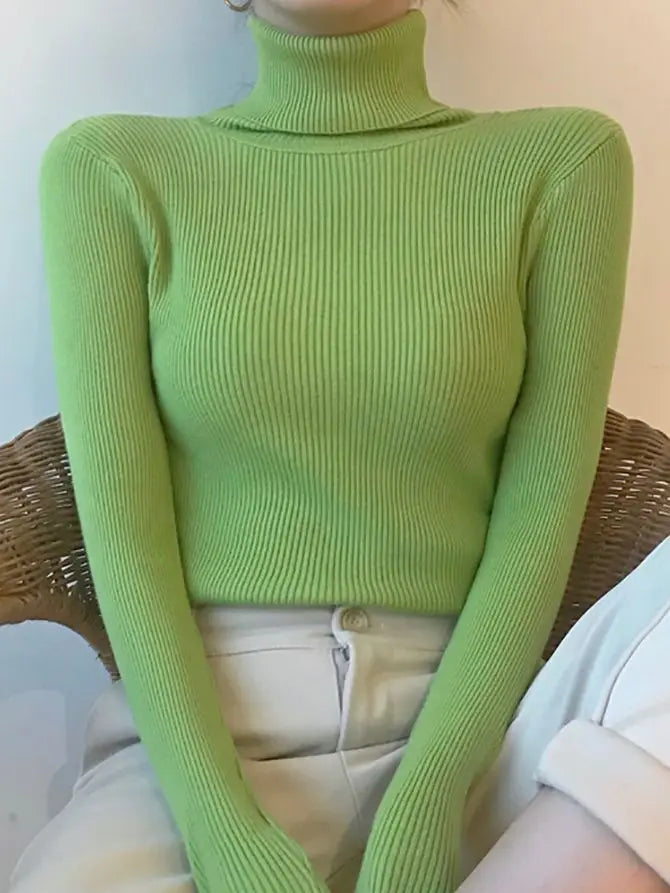 Fall Turtleneck Sweater Knitted