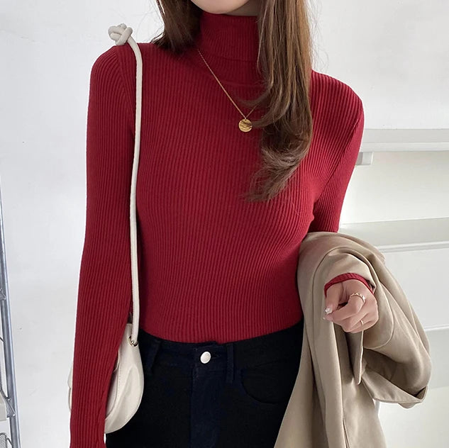 Fall Turtleneck Sweater Knitted
