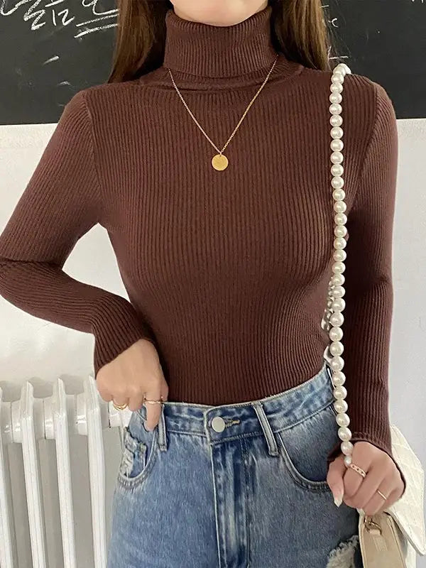 Fall Turtleneck Sweater Knitted