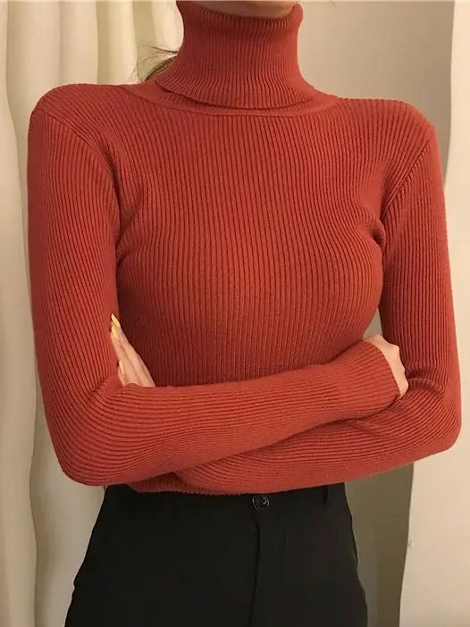 Fall Turtleneck Sweater Knitted