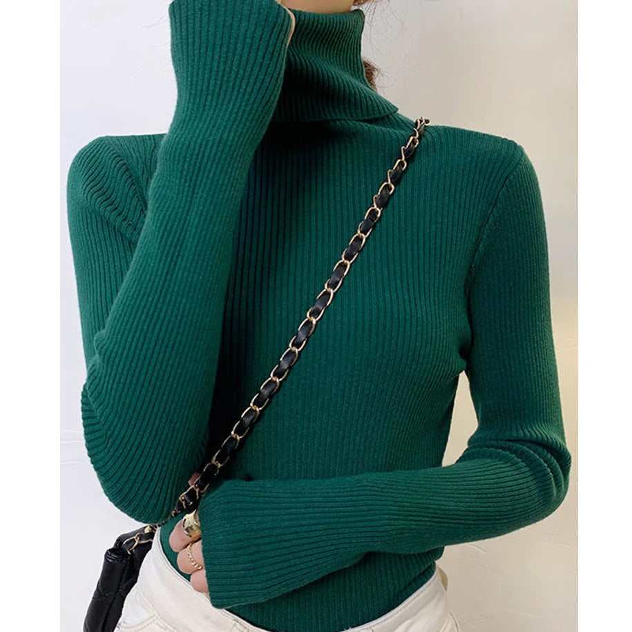 Fall Turtleneck Sweater Knitted