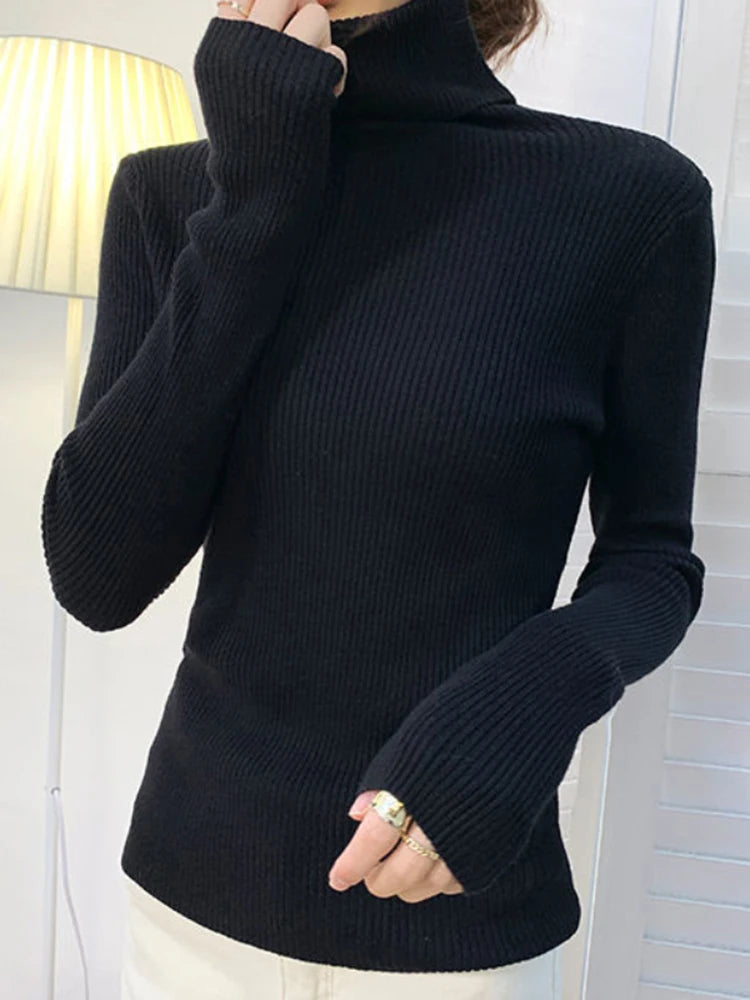 Fall Turtleneck Sweater Knitted