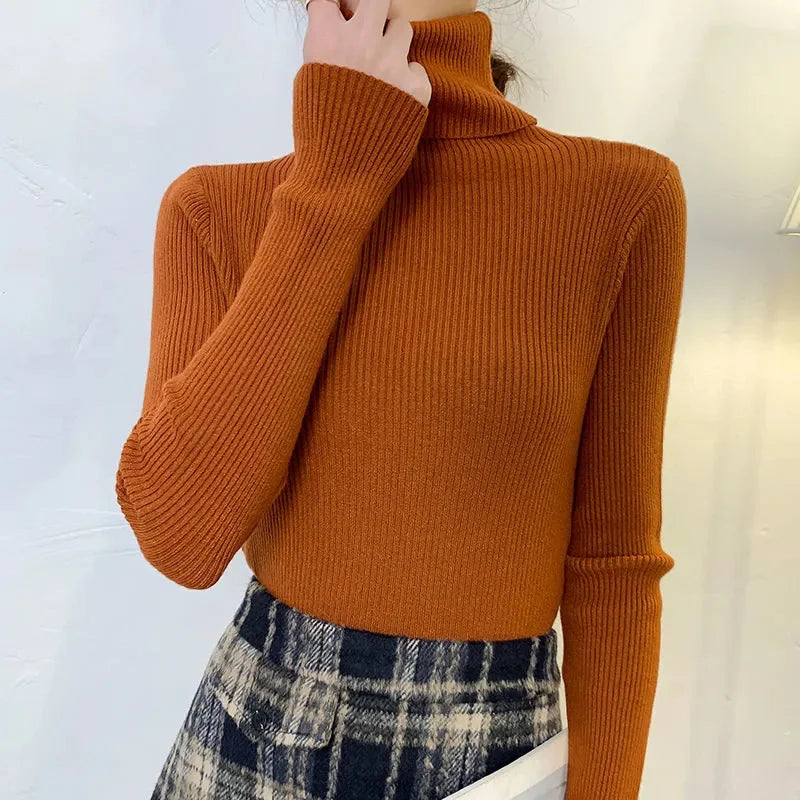 Fall Turtleneck Sweater Knitted