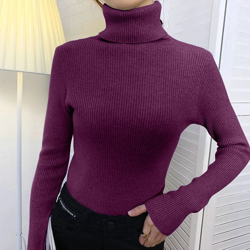 Fall Turtleneck Sweater Knitted