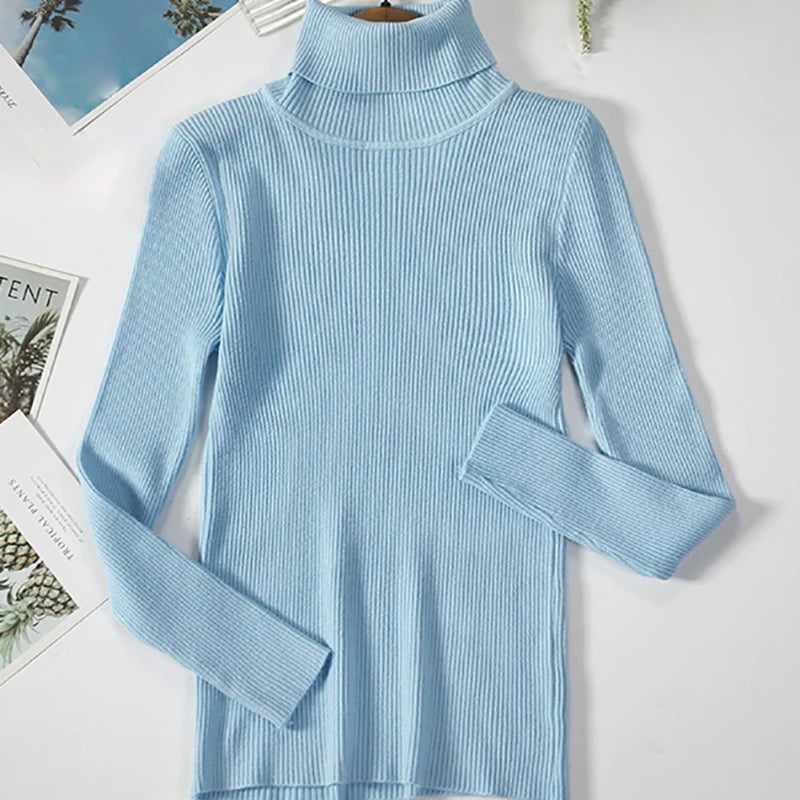 Fall Turtleneck Sweater Knitted